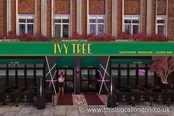Ivy Tree, South Street, Romford: See how gastropub could look