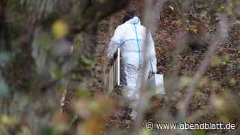 Leichenfund in Wald bei Niebüll: DNA-Spur überführt 35-Jährigen