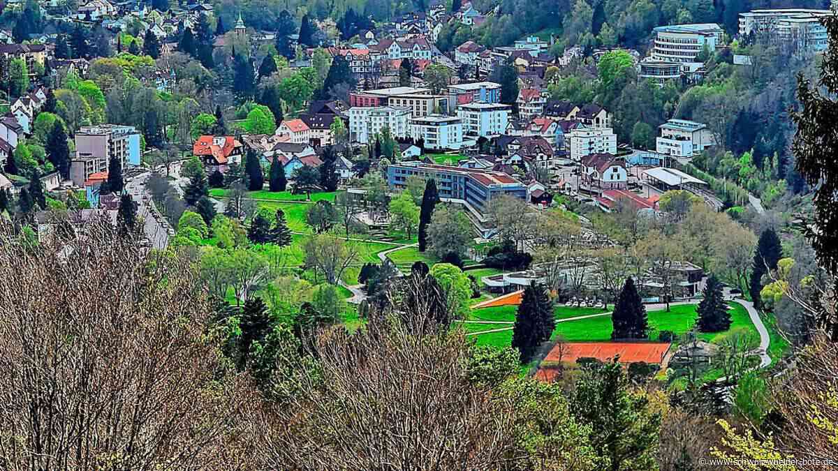 Tag der Vereine am Sonntag: Buntes Programm in Herrenalb