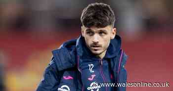 Tonight's Swansea City transfer news as Luke Williams issues Jamie Paterson warning