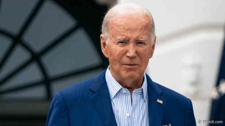 Biden stops short of lauding Supreme Court abortion pill ruling, citing Roe