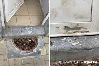Ontploffing aan voordeur in Borgerhout: geen gewonden