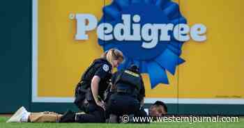 Climate Protesters Try Storming American Baseball Game, Cops Take Them Down Before They Can Clear the Outfield