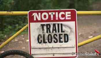 Stray dogs force closure of trails in Richmond park due to safety concerns