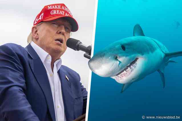 Bizarre speech van Trump over zinkende elektrische boot gaat viraal: “Kies ik voor elektrocutie of de haai?”