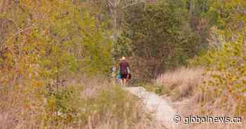 Ontario offering free preview of new provincial park under development