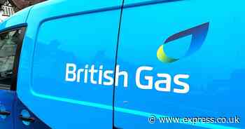 British Gas will pay you to drive an electric car in new scheme