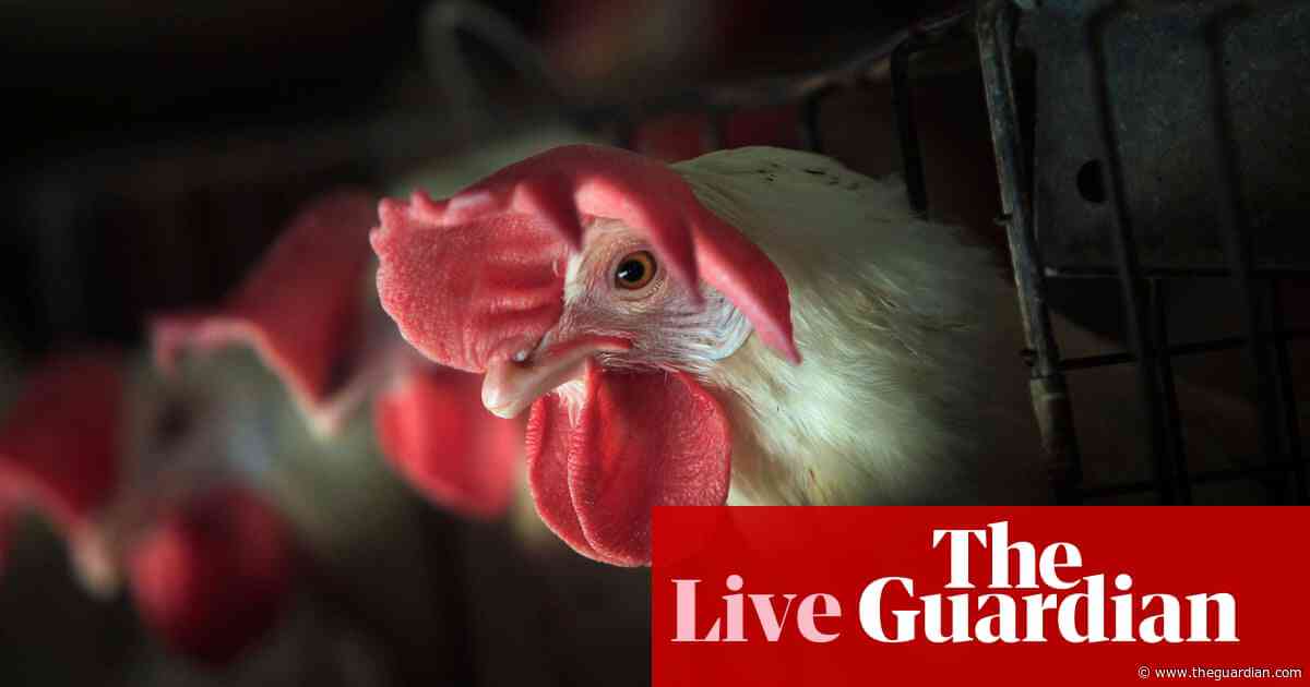 Australia news live: bird flu spreads to sixth Victorian farm; health IT contract blows out from $47m to $740m