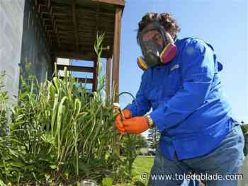 Toxic garlic should have prompted EPA to warn against gardening near Ohio derailment, watchdog says