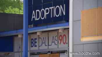 Dallas Animal Services and Adoption Center over capacity,  pets in search of new homes