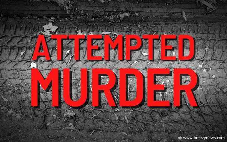 Attempted Murder, Assault, and Domestic Violence in Attala and Leake