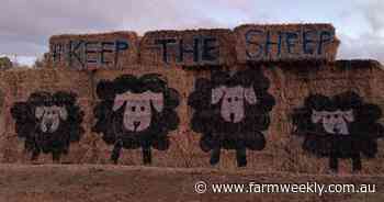 Colourful bales show sheep industry support
