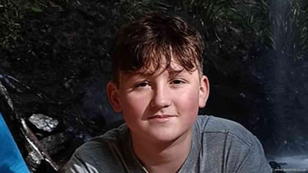 Tyler Mason: Tragic twist after teenage boy died when he plunged from the 35th floor of the Meriton hotel balcony in Parramatta, Sydney