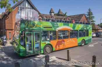 New Forest Tours to celebrate 20th year and 500,000 passengers