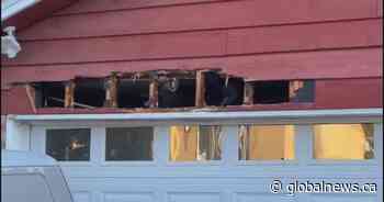 Caught on video: Bear damages home in Port Coquitlam, B.C.