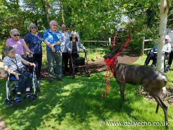 Stag statue honours woman's legacy at New Forest care home