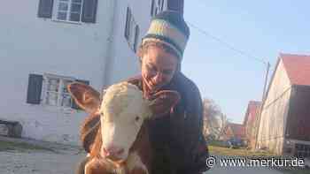 Therapie statt Milchvieh: Bauernhof wagt außergewöhnliche Umstrukturierung