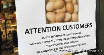 Food authorities reassure anxious shoppers amid bird flu outbreak