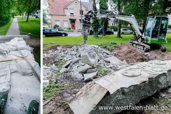 Nach Demontage: Diskussion um zerstörte Denkmäler in Paderborn geht weiter