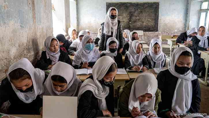 1,000 days have passed since Taliban banned girls from attending school past 6th grade: UNICEF