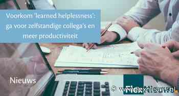 Voorkom ‘learned helplessness’: ga voor zelfstandige collega’s en meer productiviteit