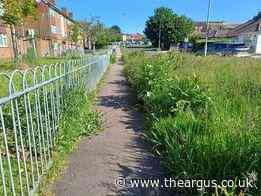 Portslade councillor slams council over uncut grass verges