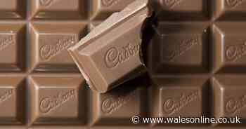 Cadbury bringing back much-loved chocolate bar
