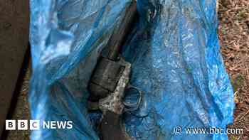 Firearm found during litter pick in Plymouth