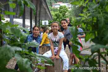 "Des tomates, des courgettes, des kiwis et même deux bananiers...": dans cette école de Nice, enfants et enseignants séduits par la végétalisation de leur cour
