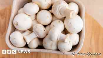 Co Tyrone mushroom factory enters administration