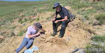 Paleontoloog in Wyoming: 'Gisteren zagen we de hoorns van een Triceratops uit de bodem steken'