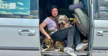 Anja haalt in een scherfvest haar honden Dima en Boeblik weg uit kapotgeschoten frontstad in Oekraïne