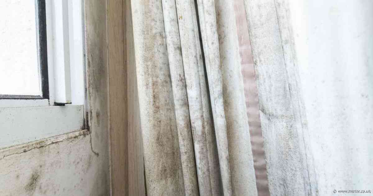 'Experts wanted £500 to clean my mouldy curtains - but £1.50 item did the trick'