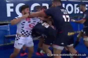 The most outrageous and eye-opening acts that happened on a rugby field this season