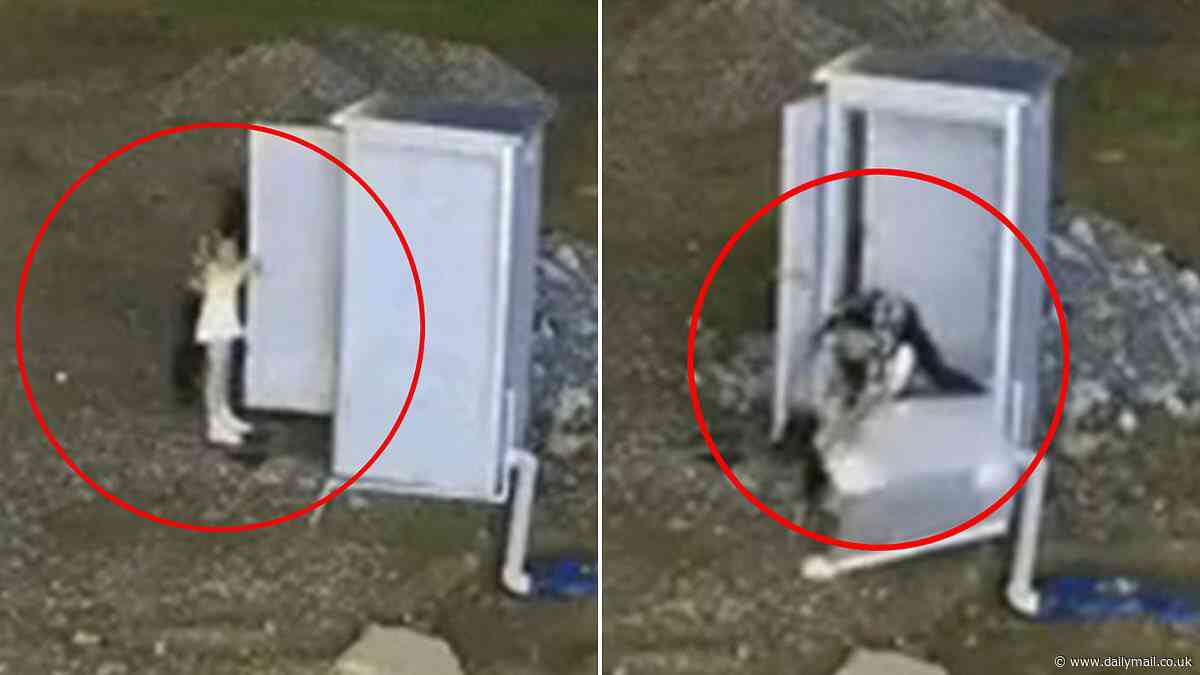 Young couple sneak off to a portable toilet for secret romp... only to crash through the wall!