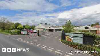 Woman dies after being hit by car at garden centre