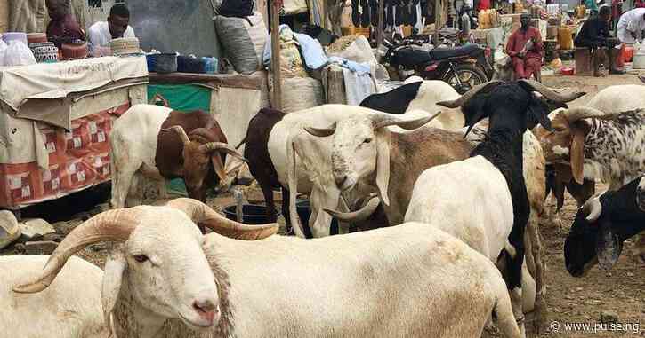 Cleric tells Muslims who can't afford Eid ram due not to grieve