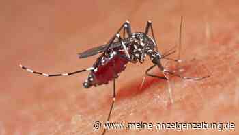 Dengue-Fieber auf dem Vormarsch: Italien und Deutschland betroffen