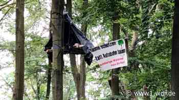 Aktivisten besetzen Bäume – Protest gegen Autobahnausbau in Köln