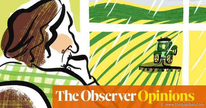 Farming is risky and vital – it needs to be on the next UK government’s priority list | Jay Rayner