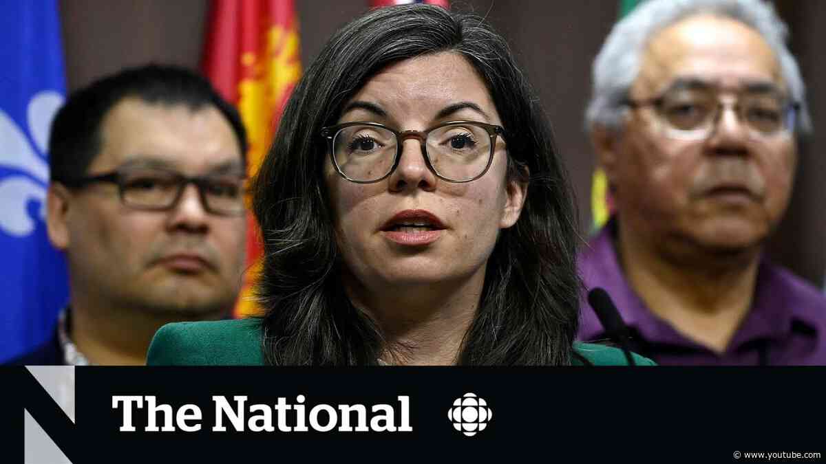 NDP MP Niki Ashton pressed on family Christmas trip on taxpayer dime