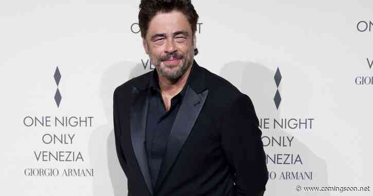 Benicio del Toro Cast in New Paul Thomas Anderson Movie With Leonardo DiCaprio