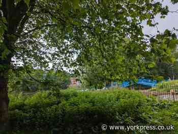 York visitor shocked by 'badly overgrown' river Ouse path