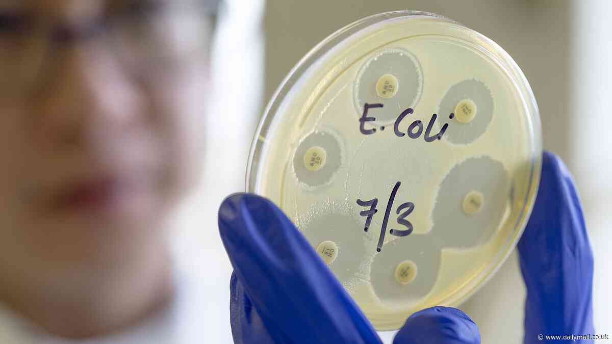 E.coli symptoms: warning signs of the violent infection, how long it lasts and what you need to do if infected amid massive recall of supermarket sandwiches, wraps and salads