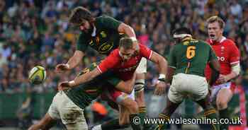 Tonight's rugby news as South Africa v Wales injury list mounts and tragic player's family blown away