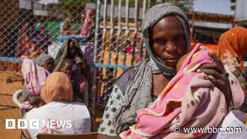 UN Security Council demands end to Sudan's city siege