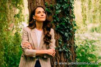 Kate Middleton issues major health update on cancer battle