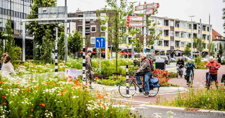Lelijke asfaltgribus is nu bijna ‘Arnhem Floriade’: zó ervaart verslaggever Harry de nieuwe Van Muijlwijkstraat