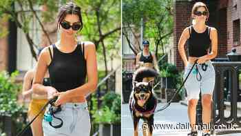 Emily Ratajkowski bares her midriff in a black tank top while adding long denim shorts during walk with her dog Colombo in New York City