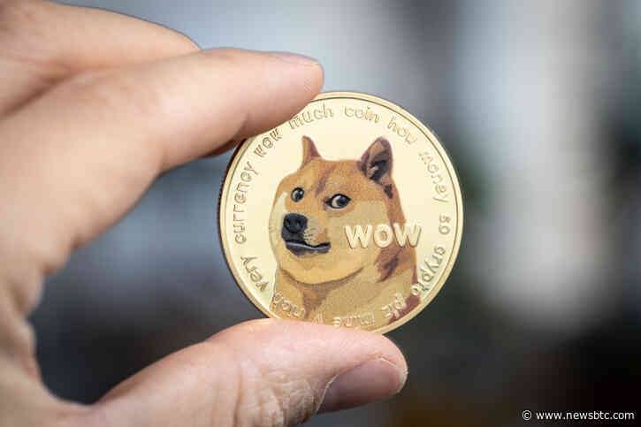 Dogecoin Plunges 11%, But This On-Chain Cushion Could End Decline